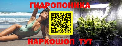 ПСИЛОЦИБИНОВЫЕ ГРИБЫ Лесосибирск