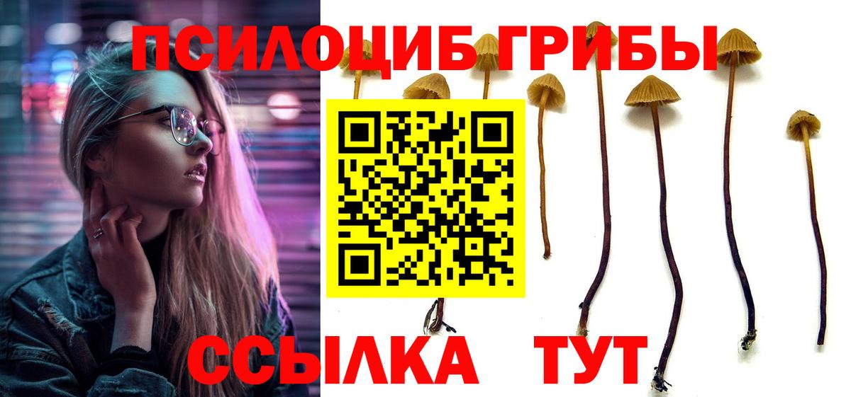 Псилоцибиновые грибы мухоморы Зима