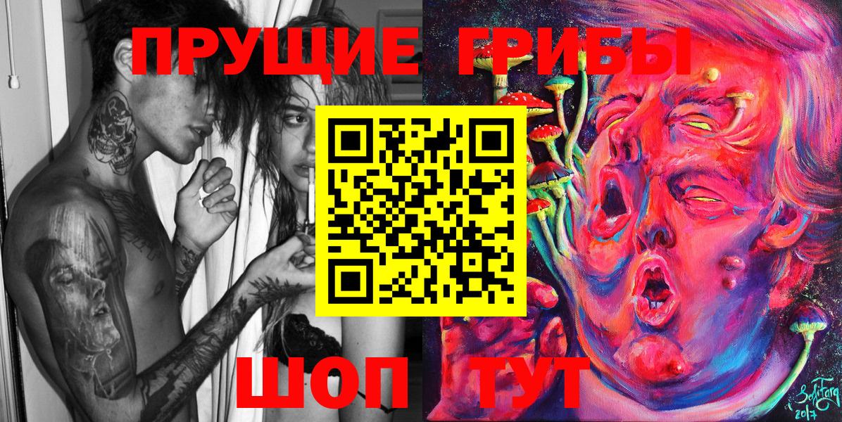 Зима  Галлюциногенные грибы Psilocybine cubensis  Вход с VPN  Псилоцибиновые грибы Cubensis 